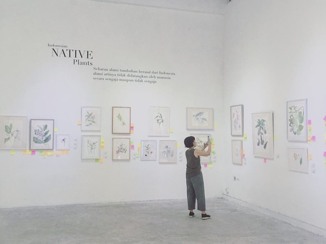 Suasana Pameran Ragam Flora Indonesia ke-2 di Bale Banjar Sangkring, Yogyakarta